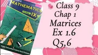 Ex 1.6 | Q5,6 | By Cramer's rule | Class 9 | Maths | Chap #1 |