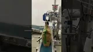 Empacadora autom&aacute;tica, bascula ensacadora, automatizacion