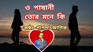 ও পাশানি তোর মনে কি দয়া মায়া নাই।। পাগলা আশিক।। pagla Ashik 