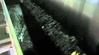 Барабанный магнитный сепаратор мокрый - Goudsmit Magnetic Systems