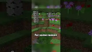 Upside-Down Trees in Minecraft? (Weird Terrain Generation Glitch!)