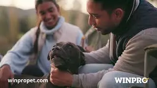 WINPRO Pet: Plasma-Powered Pet Supplements