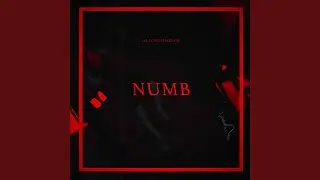 Numb4ever