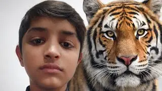 Best Surprise Ever for ❤️ | Wild Animals Show 🐾Surprise for  😍 | All Animals in One Video 🐯🦁