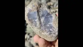 Beautiful stone hunting. شکار سنگ نیمه قیمتی .#hunter #shorts  #piercing #stone #tools #funny #agate