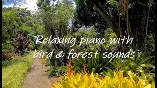 Spontaneous piano 🎹 music