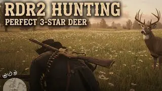 Red Dead Redemption 2 hunting 3 star deer to feed my hungry camp NO COMMENTARY