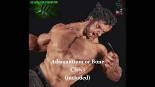 Hulk vs Wolverine 