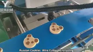 Russian Cookies  Wire Cutter #Encrusting #cookies #wirecutting #biscuits #bakerymachine