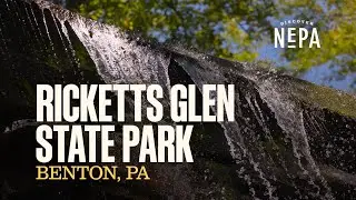 Ricketts Glen State Park | Benton, PA