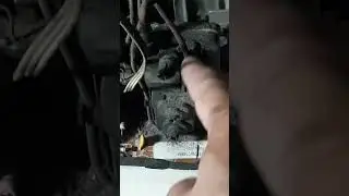Tanda flyback tv polytron rusak