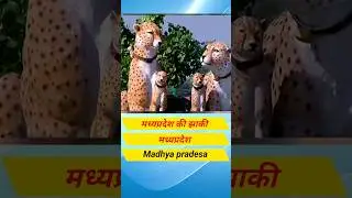 मध्यप्रदेश की झाकी mpnews #mpnews #mohanyadav #mohanyadavlive #ytshorts #youtubeshort #youtubeshorts