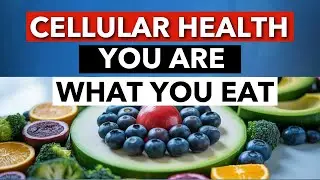 The Ultimate Guide to Cellular Health: How Your Diet Fuels Every Part of You