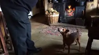 Snotty sneeze