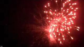 Phat Fire  :: www.pyrobug.com