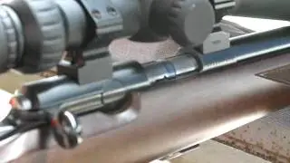 Browning T-bolt's unique action.