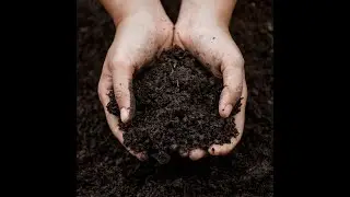 ¿PUEDO MEZCLAR HUMUS DE LOMBRIZ CON FERTILIZACIÓN QUÍMICA?