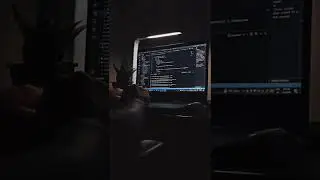 Coding Motivation Status || MrX Coding