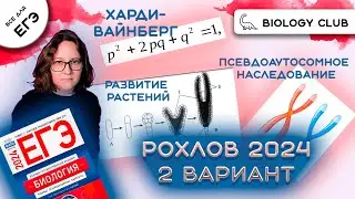 МЕГА-РАЗБОР 2 Вариант Рохлова 2024 - Решаем все задания