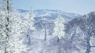 Create Nature Timelapse videos in DoN's Sandbox mode!