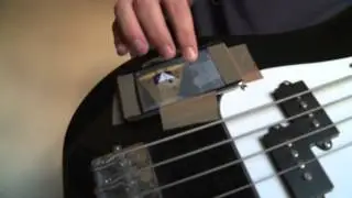 Muse - Madness (Bass Cover)