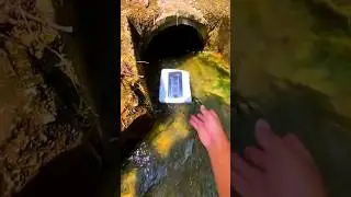 Millions lost the phone to make a little video 🤯