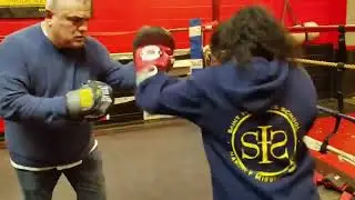 Young Boxer training