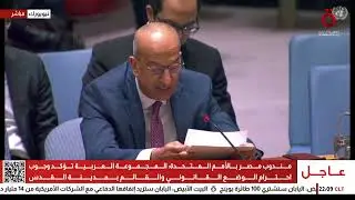 كلمة مندوب مصر بالأمم المتحدة خلال جلسة لمجلس الأمن