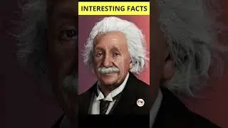 😮Top 4 interesting Facts | Fact wave | #facts #top10 #trendingshorts #viralvideo