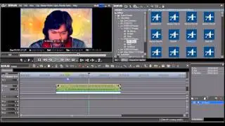 Procoder Installation Tutorial