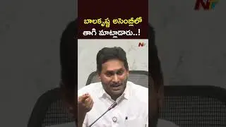 YS Jagan Mass Counter To MLA Balakrishna l YS Jagan l NTV Telugu