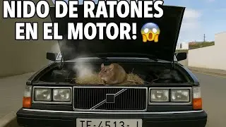Arrancar&aacute; a la primera despu&eacute;s de meses?? .Volvo 264 GLE. &iquest;Sab&eacute;is significado de las siglas? Cap 2.