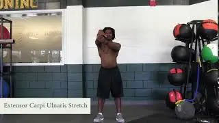 Extensor Carpi Ulnaris Stretch