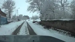 Dmanisi Memisli