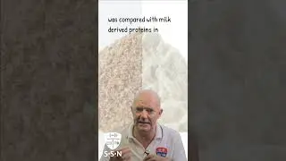 INSECT PROTEINS VS MILK PROTEINS
