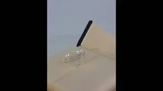 BR 30.09 H SI