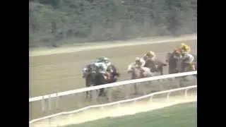 1992 Tom Fool Stakes