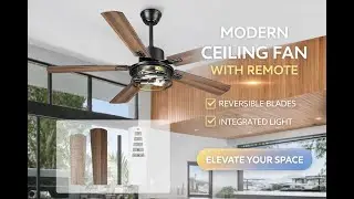 Matte Black Farmhouse Ceiling Fan ✨ Quiet Motor, Reversible Blades - TENGXIN