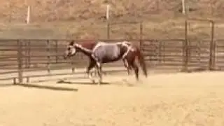 Masterson Method training in Larkin Valley