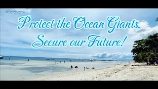 Protect the Ocean Giants (Marine Life Conservation Video by maryalfildiaries)
