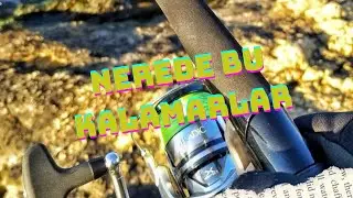 İzmir’de kalamar nasıl tutulamaz. 
