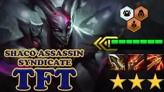 ASSASSIN 3 STAR ⭐⭐⭐ SHACO HYPER CARRY SYNDICATE - TFT SET 6 Teamfight Tactics