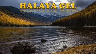 HALAYA GEL - Nurik (AHISKA MÜZIK)(Ахыска)