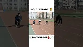 The Funniest Fails On The Internet 🤣