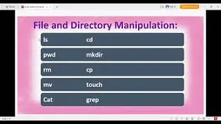 Linux:: Files & Directory commands.