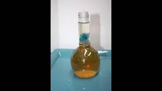 Harvesting and Feeding Vinegar EelsTake 2
