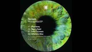 Senses - Starry Eyed