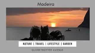 Madeira Island - Top Things To Do While Visiting Madeira