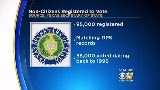 Secretary Of State Says 95K Non-Citizens Registered To Vote In Texas