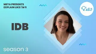 ELI5: idb